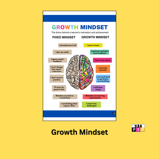Growth Mindset Poster - School Poster Template - Perfect Poster - PST